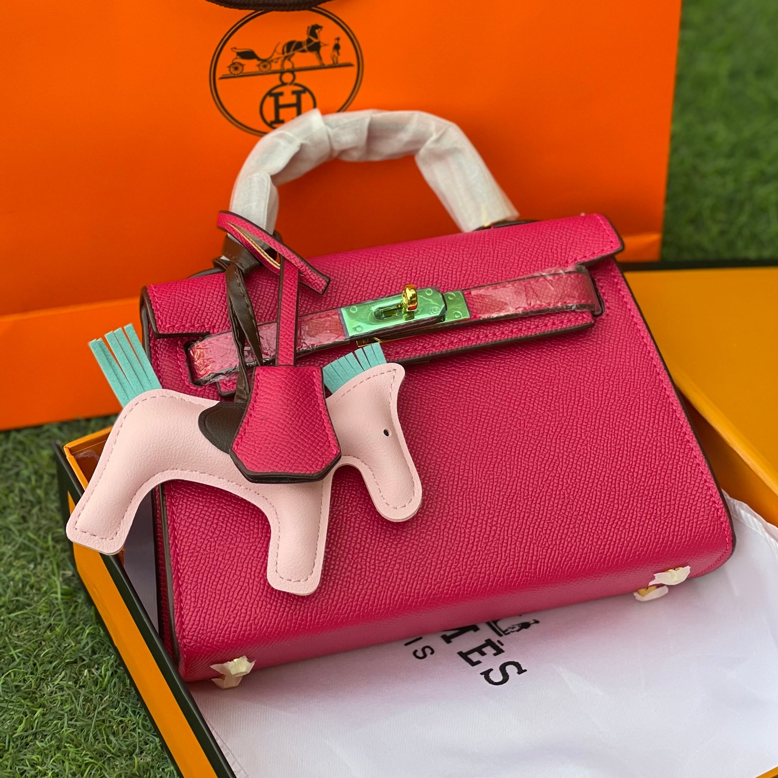 Hermes bag( pink) – my shoes